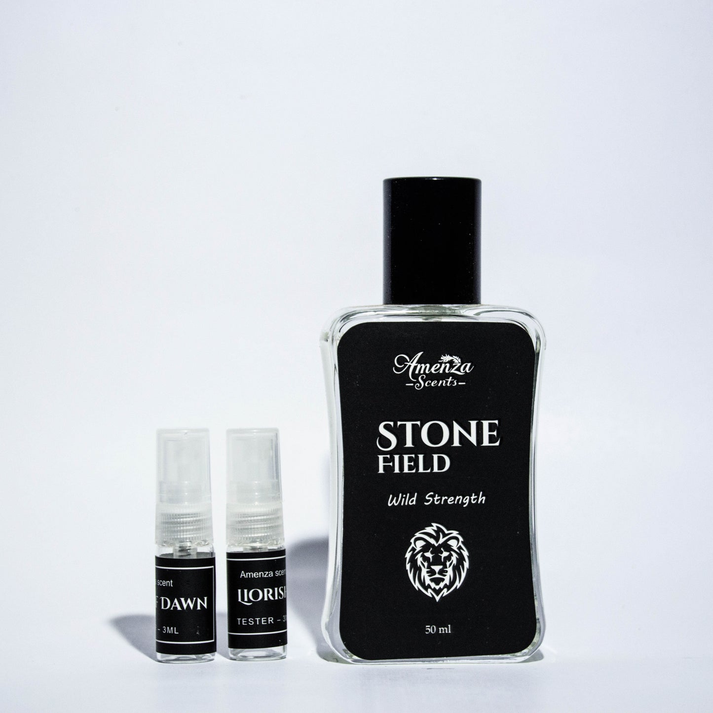 Stone Field – The Nucleus of Raw Elegance